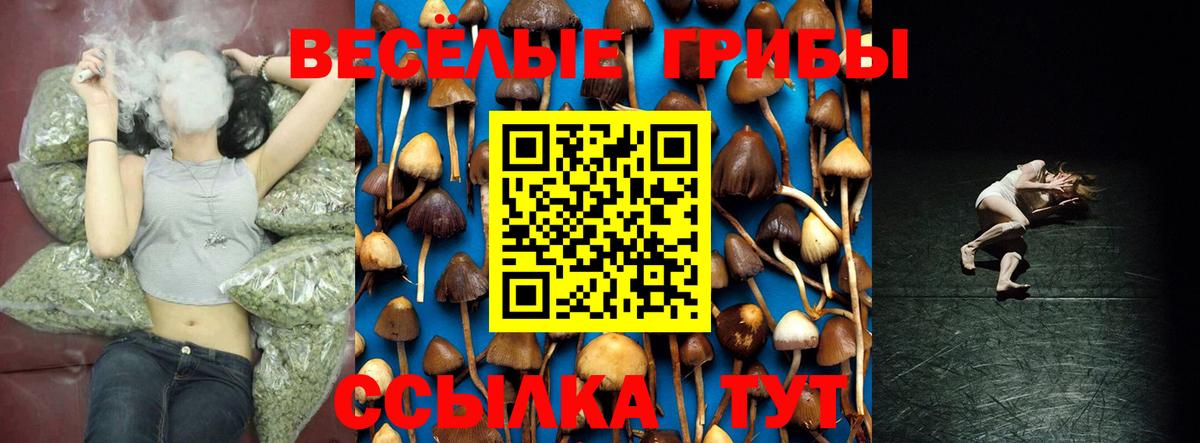 Галлюциногенные грибы Cubensis  Вход с VPN  Казань 